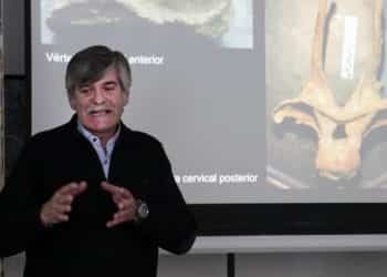El dinosaurio más antiguo de Neuquén fue presentado en sociedad