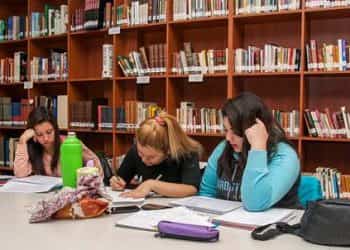 Bibliotecarias locales se capacitaron en Zapala