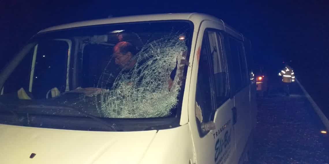 Se le cruzó un caballo cuando iba por la Ruta 22 cerca de Challaco