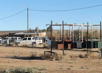 La policía irrumpió en una carrera de galgos en Huincul