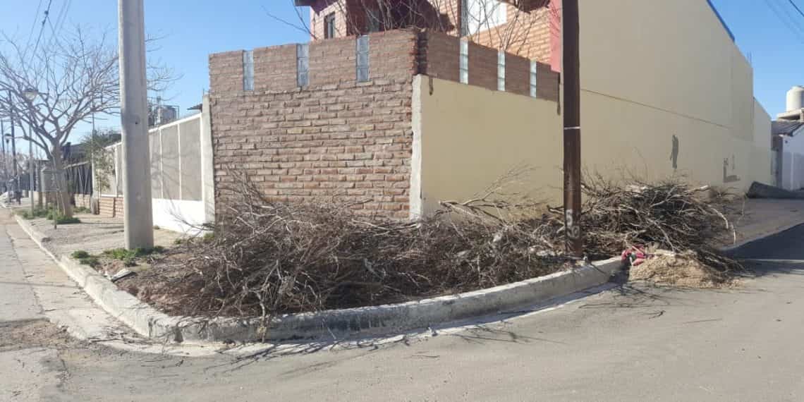 Vecino denunció que le arrojaron los restos de la poda en su vereda