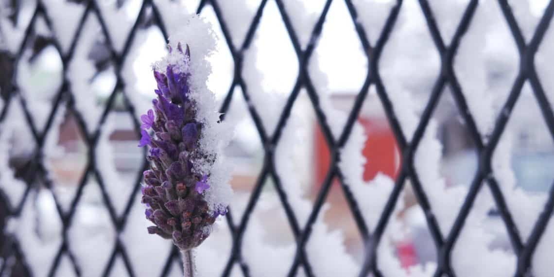 La nieve vino y se fue, la lluvia seguirá por cinco días más en Cutral Co