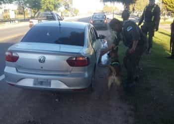 Cutral Co: Los perros de Gendarmería hallaron marihuana en un auto