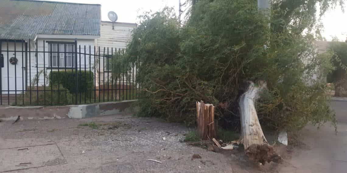 Cutral Co y Plaza Huincul con ráfagas de hasta 106 kilómetros