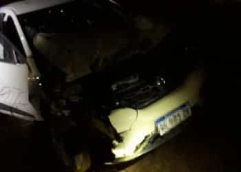 Challacó: un animal suelto en la ruta 22 provocó un choque con dos heridos