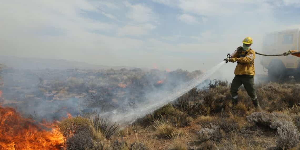 En Piedra del Águila ya lograron controlar el incendio