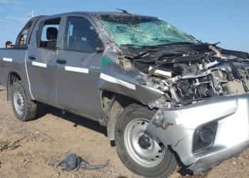 Ruta 17: Otra camioneta chocó con un caballo sin marca