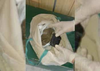 Incautaron droga en Ramón Castro, a pocos kilómetros de Zapala