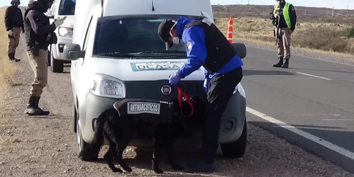 Intensifican los controles antidrogas entre Cutral Co y Zapala