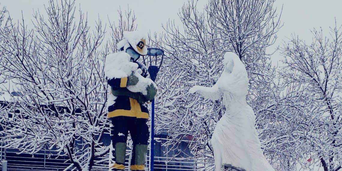 La nieve cubrió de blanco a Cutral Co y Plaza Huincul