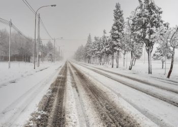 Ruta 22: conductora sufrió un vuelco cerca de Challaco