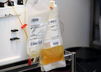 Coronavirus: la ministra de Salud informó que se trataron pacientes con plasma en Cutral Co