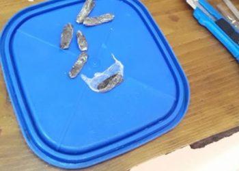 Cutral Co: Secuestraron un recipiente con comida y marihuana que iba dirigido a un preso