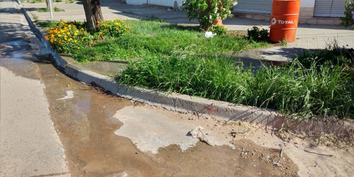 Comienza el calor y empieza el derroche de agua de riego en Cutral Co y Plaza