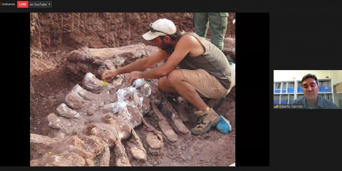 El museo de Zapala guarda tesoros dignos de ver