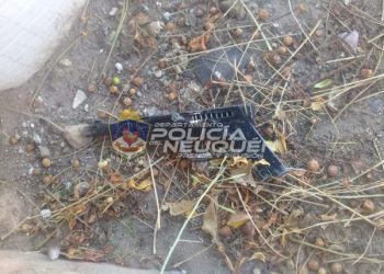 Demoraron a dos motociclistas armados en Cutral Co