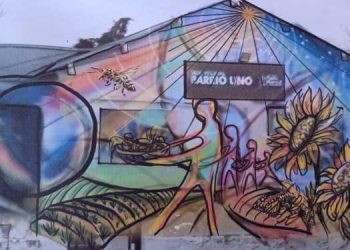 Plaza Huincul tendrá un jueves de muralismo