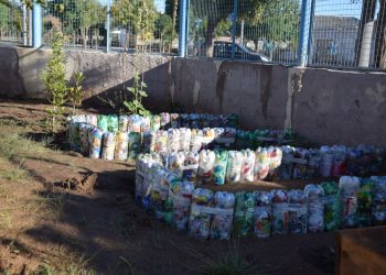 Finalizó el taller de huertas en Plaza Huincul