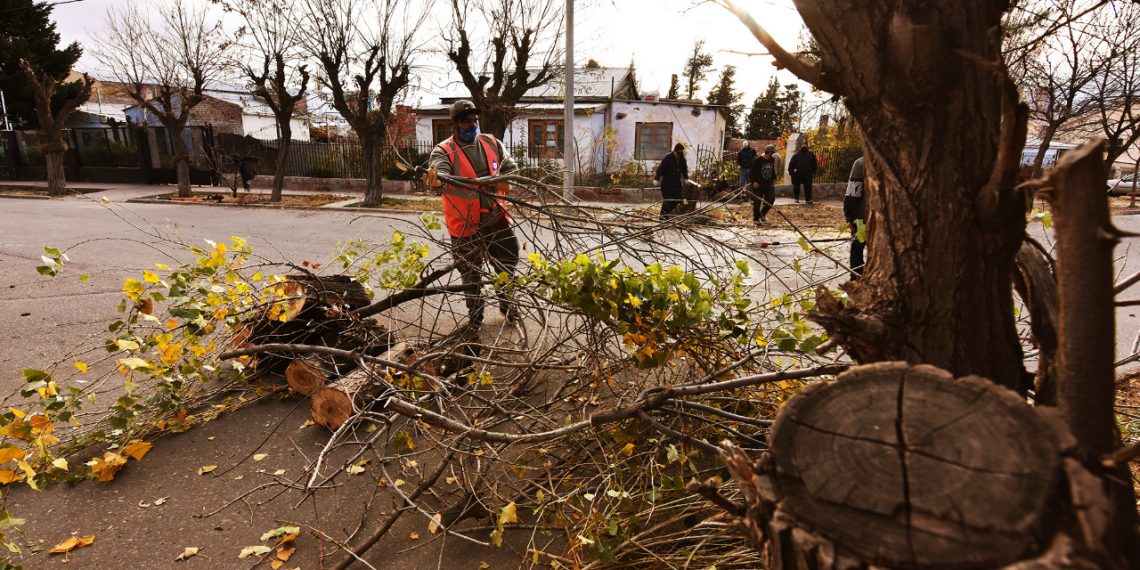 Huincul: podaron árboles en barrio Central por prevención