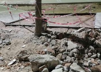 ¡Pero el árbol está bien! El increíble blooper de una obra en Plaza Huincul