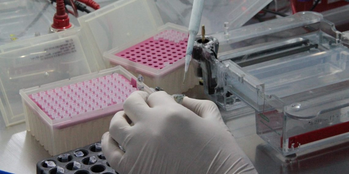 Se mantiene la circulación de la variante Manaos de Covid 19 en Neuquén