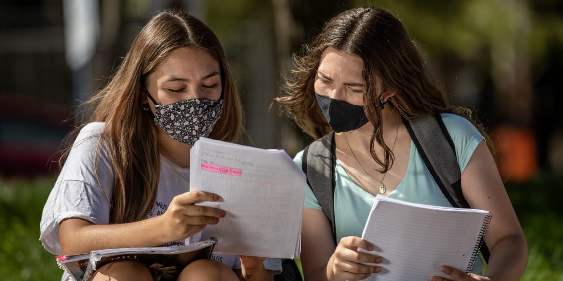 Hay 11 estudiantes de la UNCo que se suman a los becarios de PAE