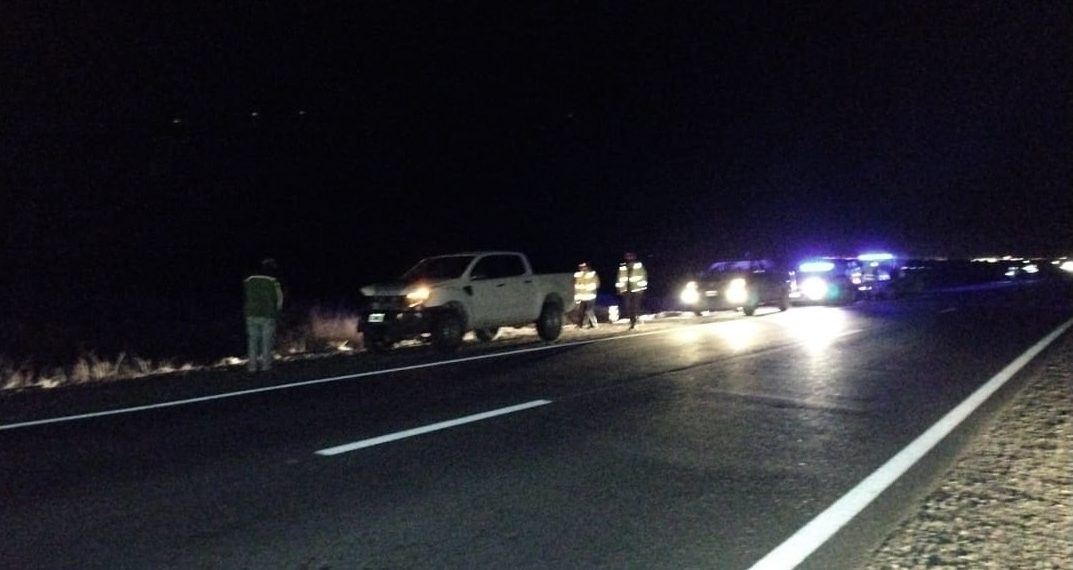 Ruta 22: una camioneta embistió a un animal suelto a la altura de Challacó