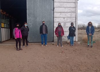 La confección de ecoleños toma impulso en Plaza Huincul