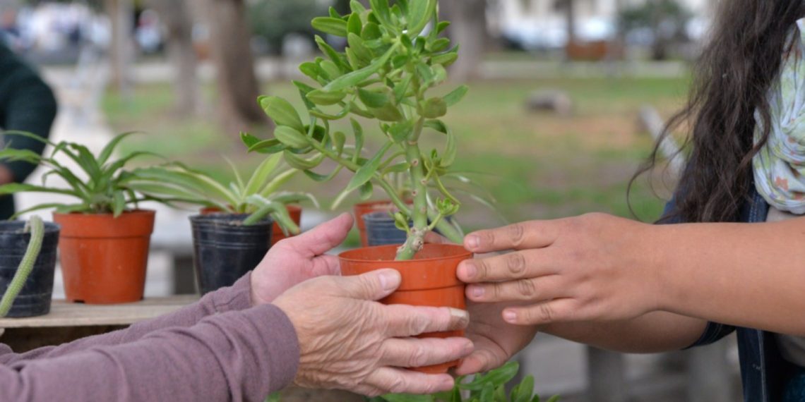 Cutral Co: en septiembre habrá un intercambio de semillas y plantas