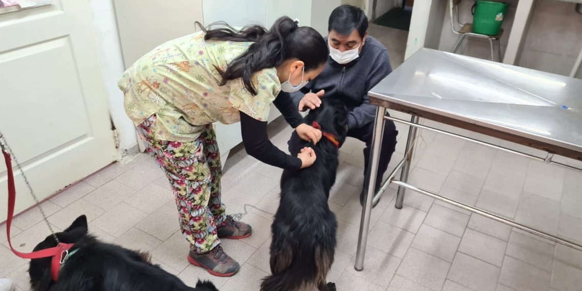 Alta concurrencia a la convocatoria de vacunación de mascotas en Cutral Co