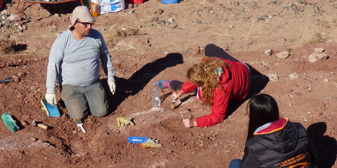Descubren restos de un dinosaurio en Villa El Chocón
