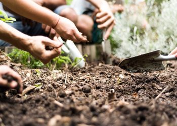 Inició la VII jornada de concientización Ambiental y Turística en Plaza Huincul