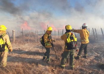 Un incendio consumió 25 hectáreas en Picún Leufú