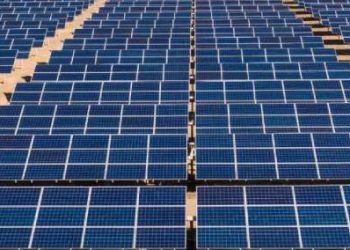 Parque solar: ¿A quién le venderá Cutral Co la energía que produzca?