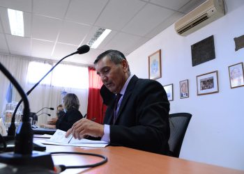 Piden que la poda del arbolado urbano en Plaza Huincul sea realizada por especialistas