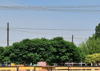 Incendios en Aluminé: El humo llegó a Cutral Co