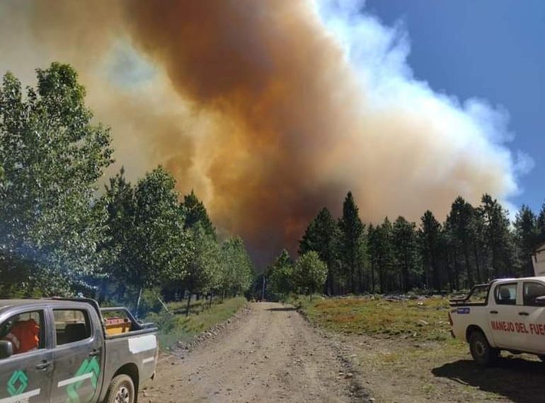 Incendios en Aluminé: El humo llegó a Cutral Co