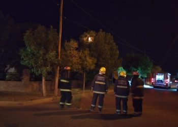 Cutral Co: Se cayó un cable sobre un árbol y acudieron los bomberos