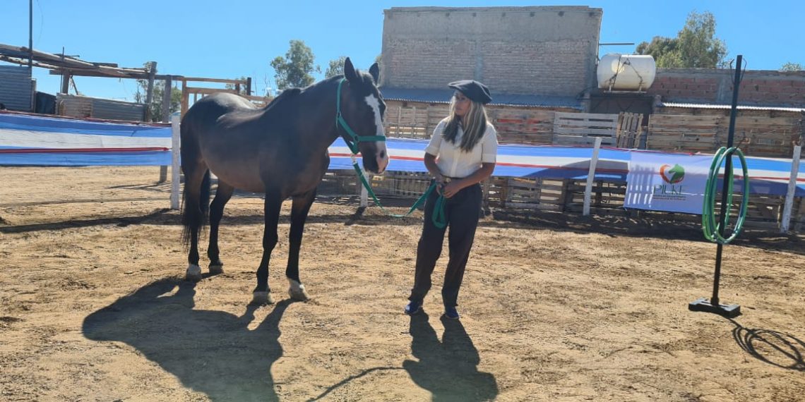 Comenzó a funcionar Piuke, el centro de equinoterapia en Cutral Co