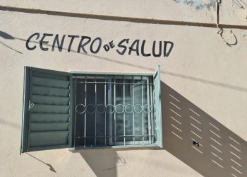 “Pulga” llegó para sumarse al Centro de equinoterapia de Cutral Co
