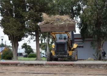Realizan trabajos de mantenimiento en diferentes puntos de Plaza Huincul