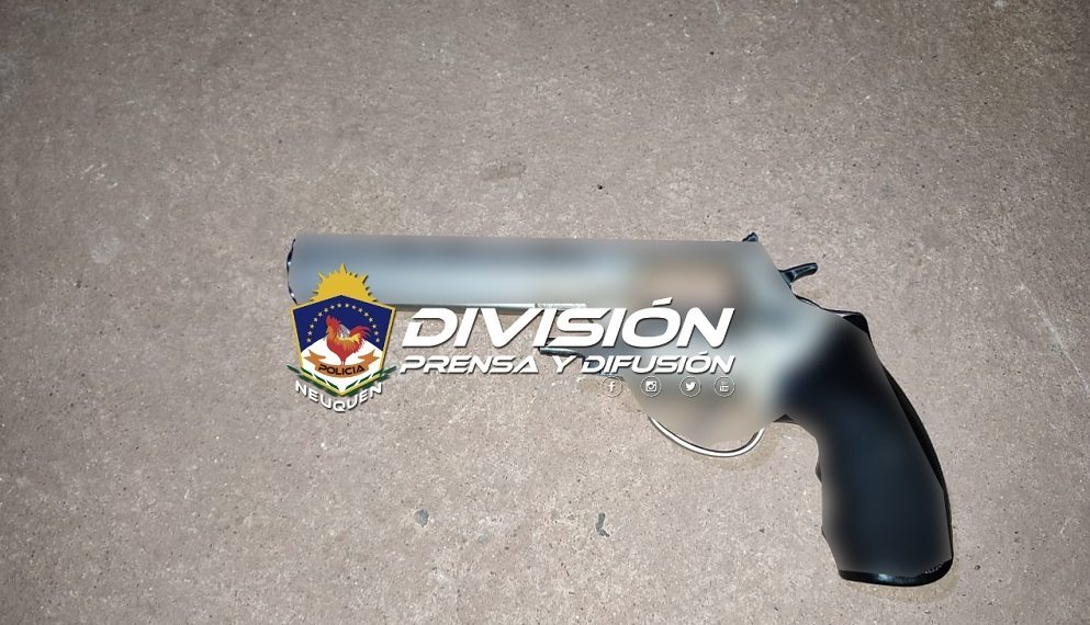 Rincón de los Sauces: hubo tres demorados y un revólver secuestrado