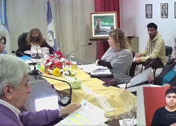 Tren trasandino: ediles de Plaza Huincul piden que se revea la traza para que sea incluida la ciudad