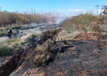 Plaza Huincul: bomberos controlaron incendio de pastizales