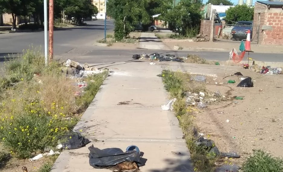 Vecinos del barrio Pampa de Cutral Co reclaman por acumulación de basura