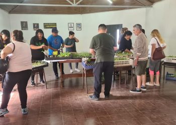 Entregaron plantines en la seccional del MPN en Cutral Co