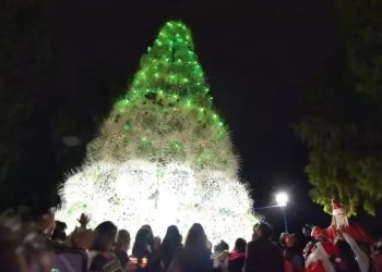 Plaza Huincul acondiciona el arbolito de navidad