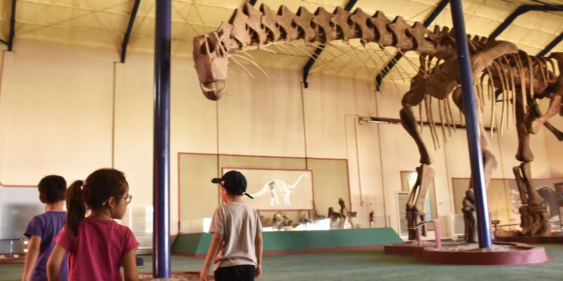¡Atención familias! continúan las actividades para lo pequeños en el Museo de Plaza Huincul