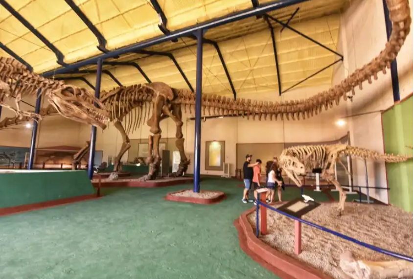 Equipo interdisciplinario visitó el museo de Plaza Huincul para estudiar fósiles y rocas locales