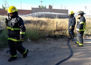 Apagaron un incendio de pastizales en Plaza Huincul